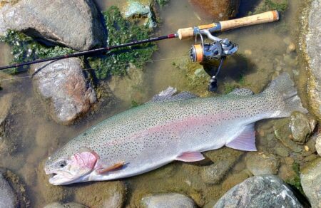 ラインブレイク多発 ～岡崎トラウトポンド～